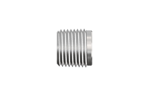 Hollow Hex Plugs Male Npt